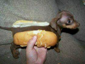 Hot Dog.jpg