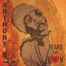 Anthony B - Tears Of Luv (2015)