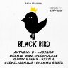 Black Bird Riddim (2019)