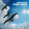 3 Birds Riddim (2019)