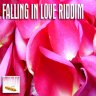 Falling In Love Riddim (2010)