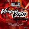 Pleasure with Pain Riddim, Vol. 1 (2019)