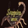Scorpion Riddim (1999)