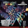 Spotlight On Reggae Vol.6 (1995)