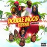 Double Mood Riddim (2020)