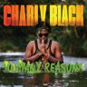 Charly Black - So Many Reasons (2021)