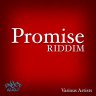 Promise Riddim (2014)