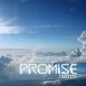 The Promise Riddim (2008)