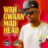 Busy Signal - Wah Gwaan Mad Head (2021)