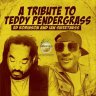 The Tribute to Teddy Pendergrass (2022)