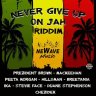 Never Give Up on Jah Riddim (2022)