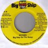 Big Ship On The Bump Riddim (2004)