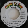 Bandilero Riddim (2004)