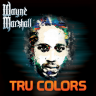 Wayne Marshall - Tru Colors 2014