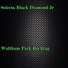Selecta Black Diamond Jr. - Waltham Park Rocking