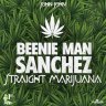 Beenie Man & Sanchez - Straight Marijuana (2016)
