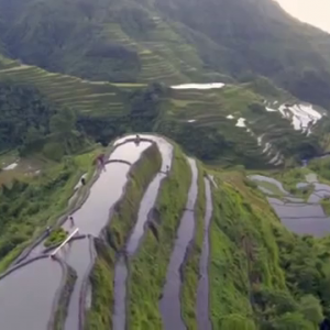 Wakeboarding On The Banaue Rice Terraces