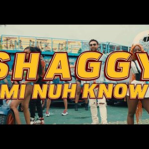 Shaggy - Mi Nuh Know