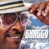 shaggy_cover_jamaica_small.jpg