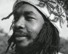 PeterTosh.jpg