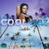 Cool Viibz Riddim (2021)