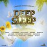 Deep Sleep Riddim (2022)